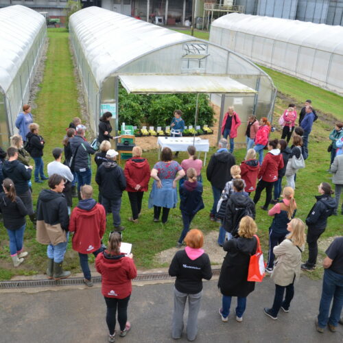Prikaz poskusov z zelenjadnicami na Infrastrukturnem centru Jablje Kmetijskega inštituta Slovenije, 24. september 2024