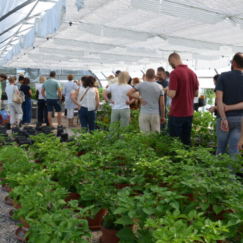 Prikaz poskusov z zelenjadnicami na Laboratorijskem polju Biotehniške fakultete UL, 3. julij 2025
