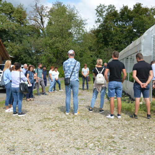 Prikaz sortnega poskusa s papriko na KGZS - KGZ Murska Sobota, 3. september 2025